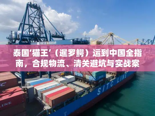 泰国‘猫王’（暹罗鳄）运到中国全指南，合规物流、清关避坑与实战案例