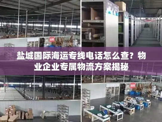盐城国际海运专线电话怎么查？物业企业专属物流方案揭秘