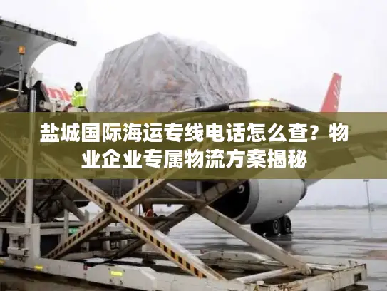 盐城国际海运专线电话怎么查？物业企业专属物流方案揭秘