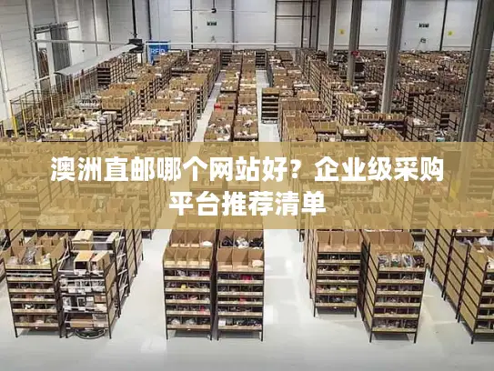澳洲直邮哪个网站好？企业级采购平台推荐清单