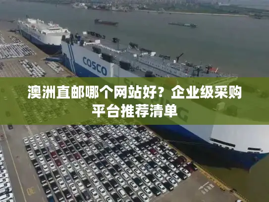 澳洲直邮哪个网站好？企业级采购平台推荐清单