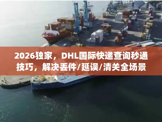 2026独家，DHL国际快递查询秒通技巧，解决丢件/延误/清关全场景问题