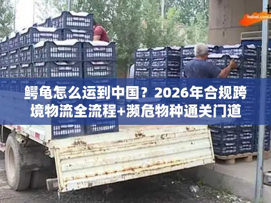 鳄龟怎么运到中国？2026年合规跨境物流全流程+濒危物种通关门道