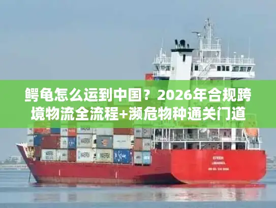 鳄龟怎么运到中国？2026年合规跨境物流全流程+濒危物种通关门道