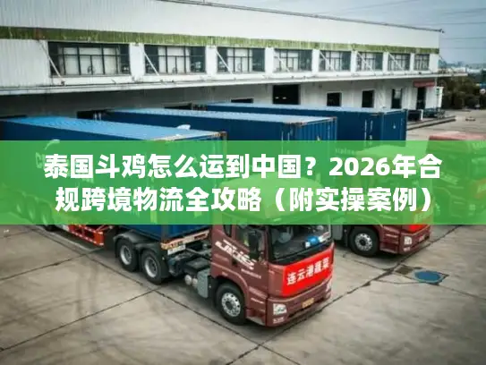 泰国斗鸡怎么运到中国？2026年合规跨境物流全攻略（附实操案例）