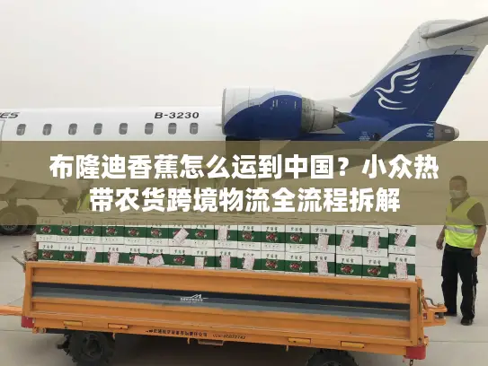 布隆迪香蕉怎么运到中国?小众热带农货跨境物流全流程拆解 布隆迪香蕉怎么运到中国?小众热带农货跨境物流全流程拆解