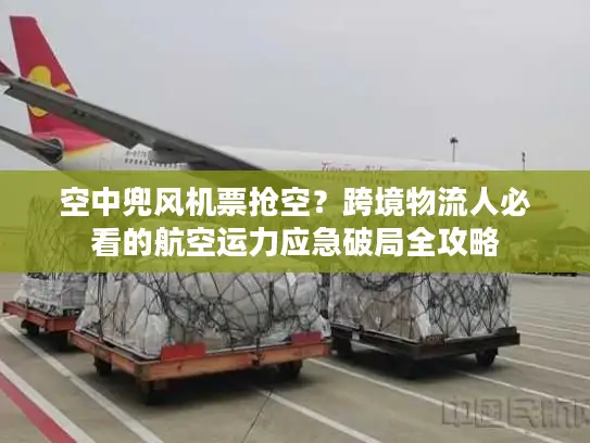 空中兜风机票抢空？跨境物流人必看的航空运力应急破局全攻略