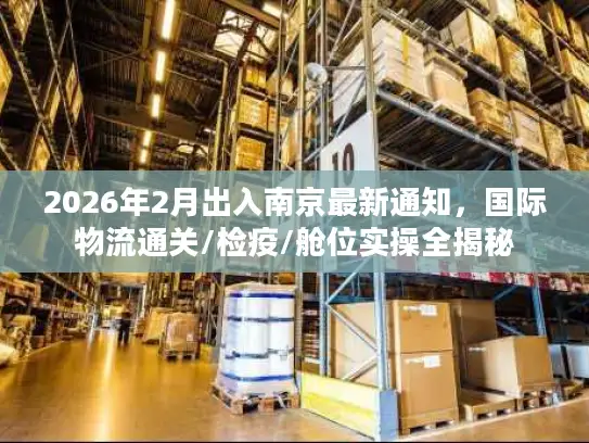 2026年2月出入南京最新通知，国际物流通关/检疫/舱位实操全揭秘