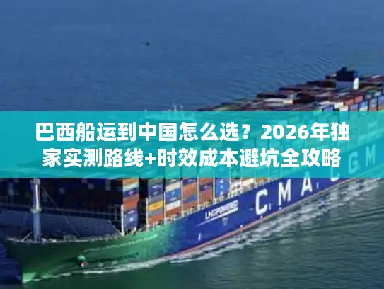 巴西船运到中国怎么选？2026年独家实测路线+时效成本避坑全攻略