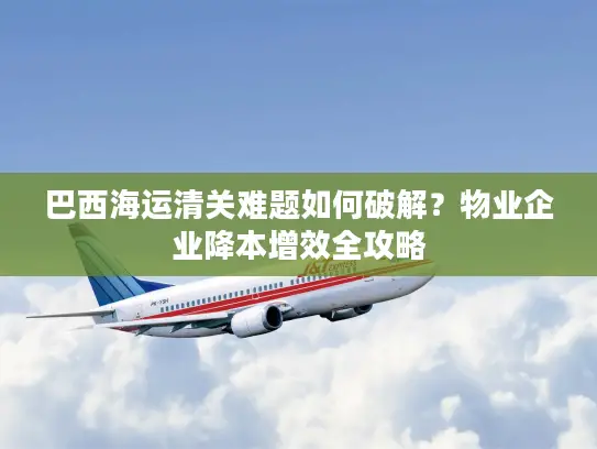 巴西海运清关难题如何破解？物业企业降本增效全攻略