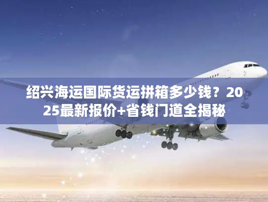 绍兴海运国际货运拼箱多少钱？2025最新报价+省钱门道全揭秘
