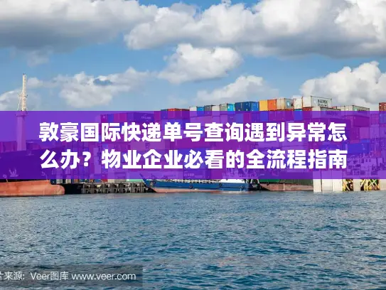 敦豪国际快递单号查询遇到异常怎么办？物业企业必看的全流程指南