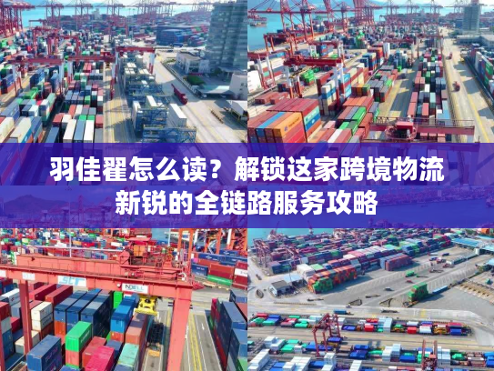 羽佳翟怎么读？解锁这家跨境物流新锐的全链路服务攻略