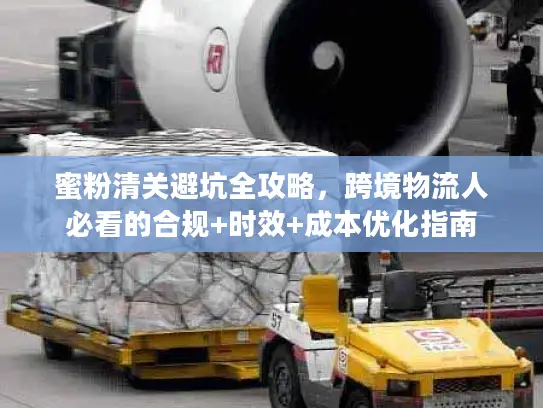 蜜粉清关避坑全攻略，跨境物流人必看的合规+时效+成本优化指南