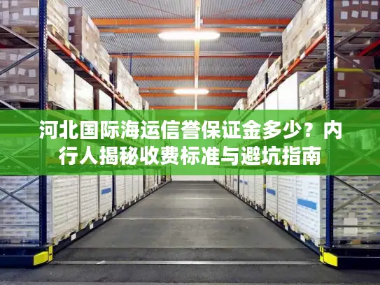 河北国际海运信誉保证金多少？内行人揭秘收费标准与避坑指南