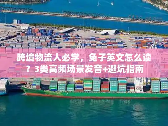 跨境物流人必学,兔子英文怎么读?3类高频场景发音+避坑指南 跨境物流人必学,兔子英文怎么读?3类高频场景发音+避坑指南
