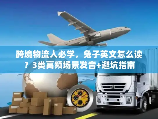跨境物流人必学，兔子英文怎么读？3类高频场景发音+避坑指南
