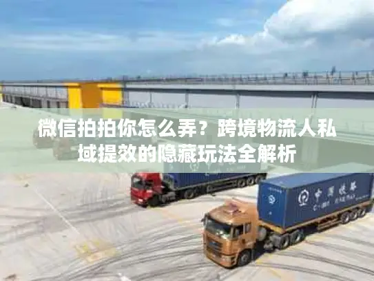 微信拍拍你怎么弄？跨境物流人私域提效的隐藏玩法全解析