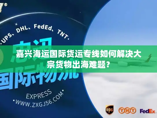 嘉兴海运国际货运专线如何解决大宗货物出海难题？