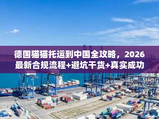德国猫猫托运到中国全攻略，2026最新合规流程+避坑干货+真实成功案例