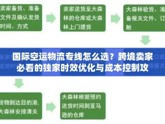 国际空运物流专线怎么选？跨境卖家必看的独家时效优化与成本控制攻略
