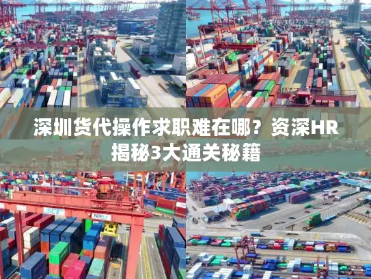 深圳货代操作求职难在哪？资深HR揭秘3大通关秘籍
