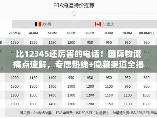 比12345还厉害的电话！国际物流痛点速解，专属热线+隐藏渠道全揭秘