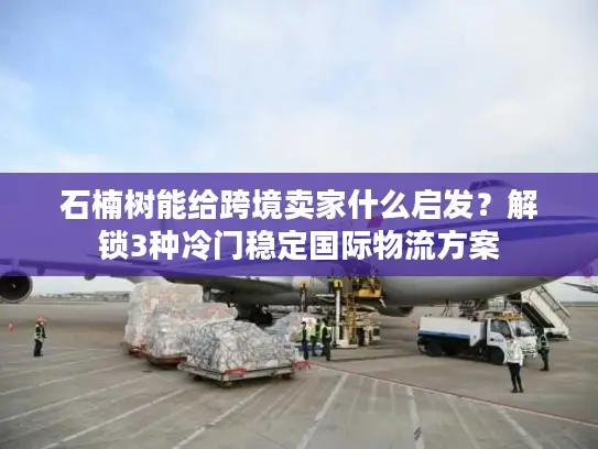 石楠树能给跨境卖家什么启发？解锁3种冷门稳定国际物流方案