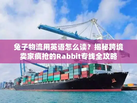 兔子物流用英语怎么读？揭秘跨境卖家疯抢的Rabbit专线全攻略