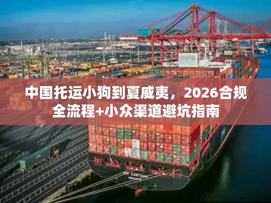 中国托运小狗到夏威夷，2026合规全流程+小众渠道避坑指南