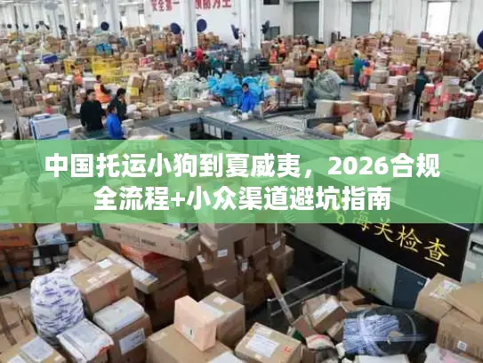 中国托运小狗到夏威夷，2026合规全流程+小众渠道避坑指南