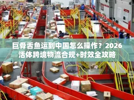 巨骨舌鱼运到中国怎么操作？2026活体跨境物流合规+时效全攻略