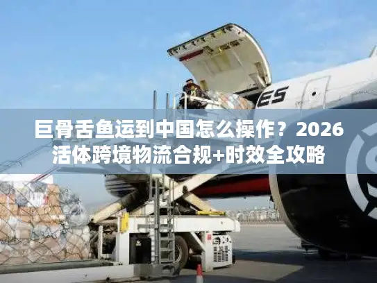 巨骨舌鱼运到中国怎么操作？2026活体跨境物流合规+时效全攻略