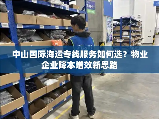 中山国际海运专线服务如何选？物业企业降本增效新思路