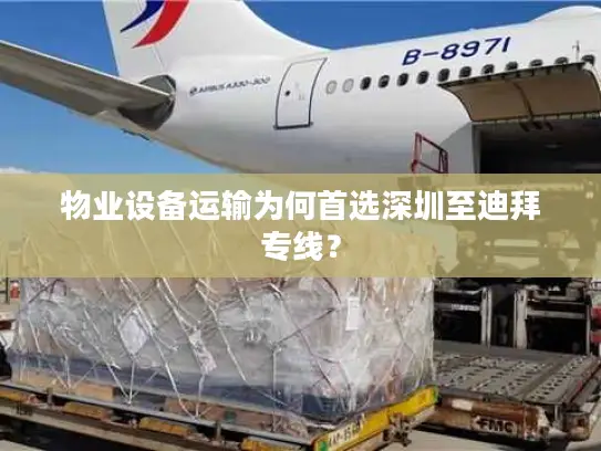物业设备运输为何首选深圳至迪拜专线？