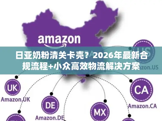 日亚奶粉清关卡壳？2026年最新合规流程+小众高效物流解决方案