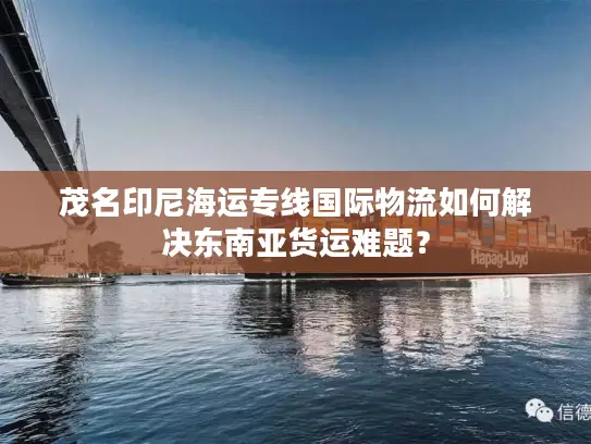 茂名印尼海运专线国际物流如何解决东南亚货运难题？