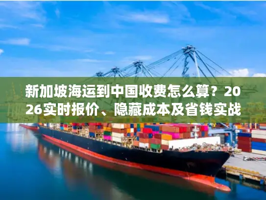 新加坡海运到中国收费怎么算？2026实时报价、隐藏成本及省钱实战指南