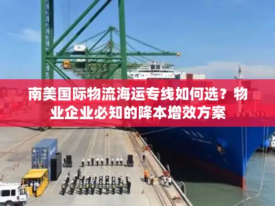 南美国际物流海运专线如何选？物业企业必知的降本增效方案