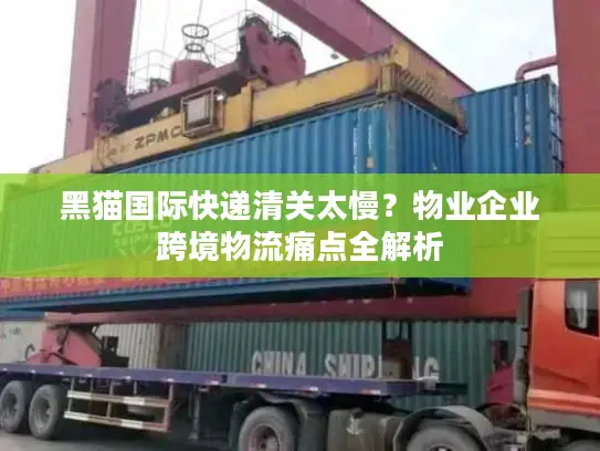 黑猫国际快递清关太慢？物业企业跨境物流痛点全解析