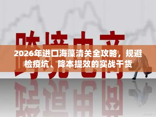 2026年进口海藻清关全攻略，规避检疫坑、降本提效的实战干货
