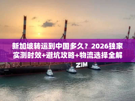 新加坡转运到中国多久？2026独家实测时效+避坑攻略+物流选择全解析