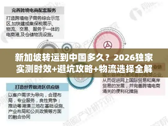 新加坡转运到中国多久？2026独家实测时效+避坑攻略+物流选择全解析
