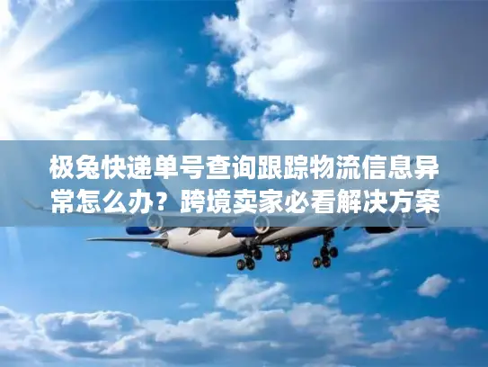 极兔快递单号查询跟踪物流信息异常怎么办？跨境卖家必看解决方案
