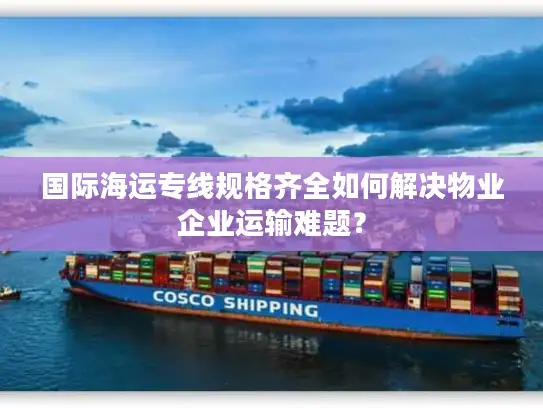 国际海运专线规格齐全如何解决物业企业运输难题？