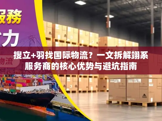 搜立+羽找国际物流？一文拆解翊系服务商的核心优势与避坑指南