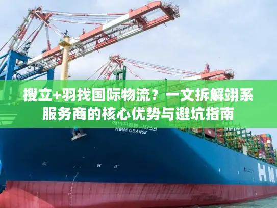 搜立+羽找国际物流？一文拆解翊系服务商的核心优势与避坑指南
