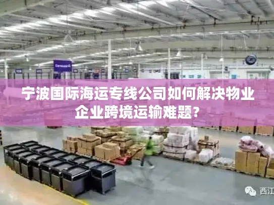 宁波国际海运专线公司如何解决物业企业跨境运输难题？