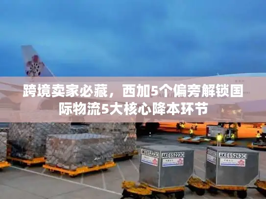 跨境卖家必藏，西加5个偏旁解锁国际物流5大核心降本环节