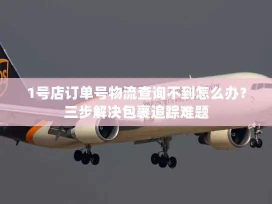 1号店订单号物流查询不到怎么办？三步解决包裹追踪难题